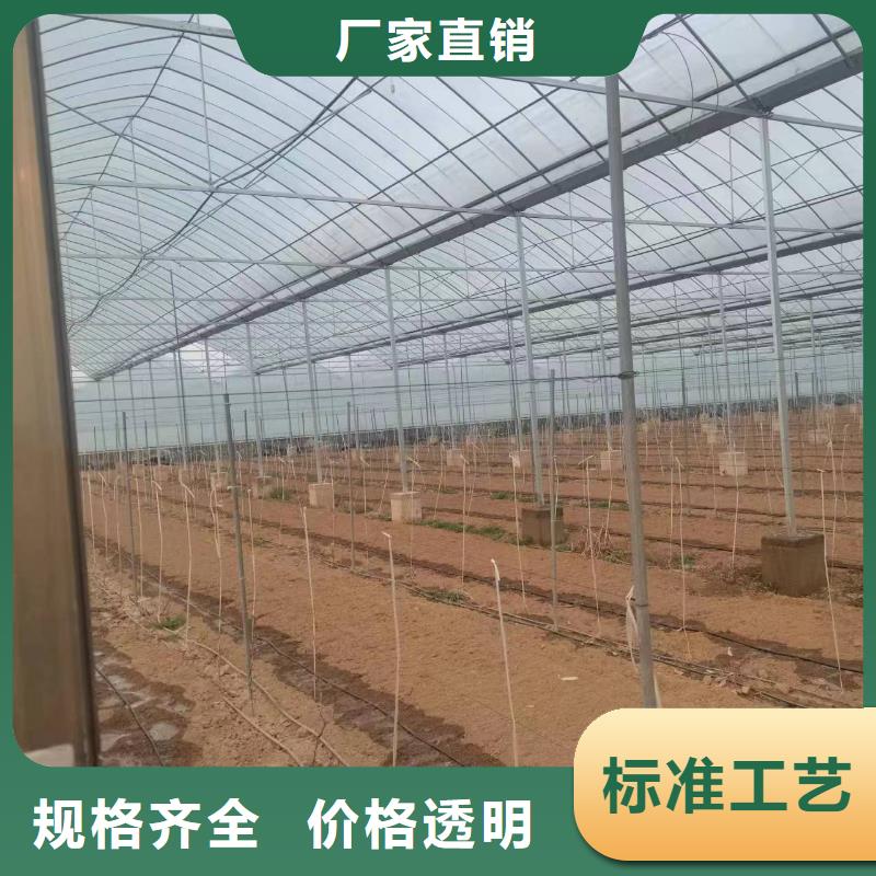 温室大棚螺旋地桩同行低价