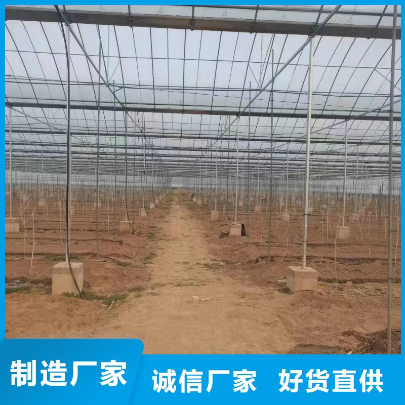溫室大棚太陽能光伏支架生產(chǎn)廠家產(chǎn)品細(xì)節(jié)參數(shù)