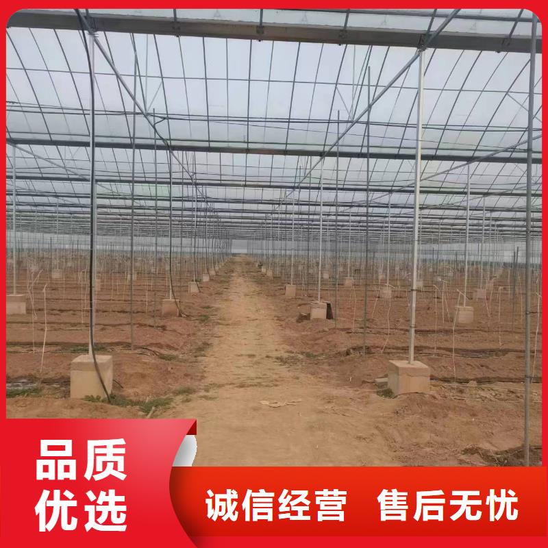 温室大棚_温室大棚水肥一体机精选货源