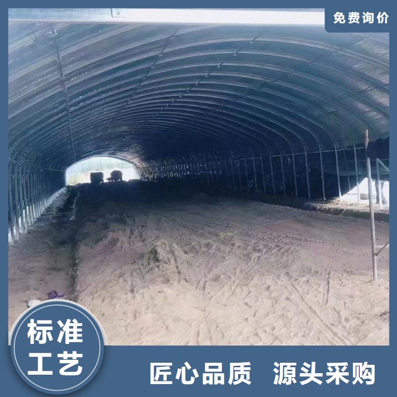 溫室大棚熱鍍鋅橢圓大棚管廠家現(xiàn)貨供應(yīng)