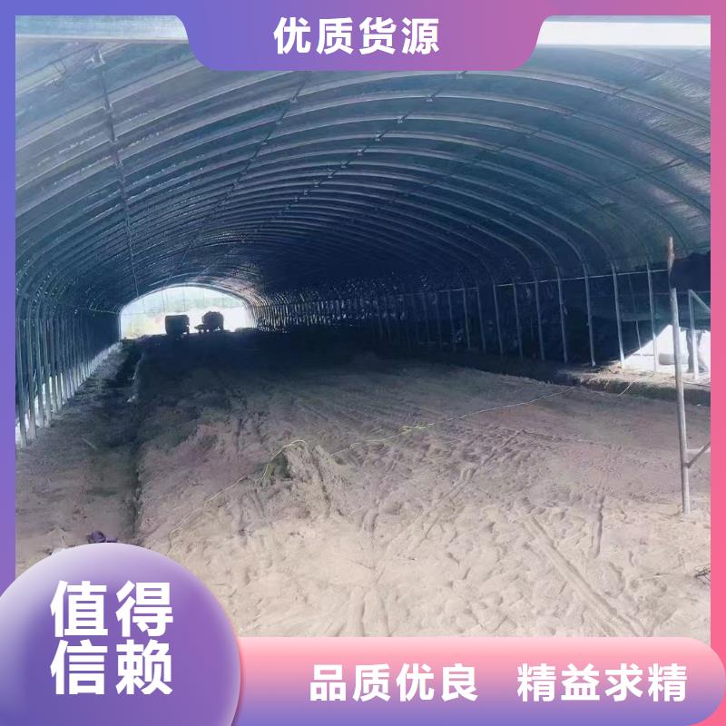 溫室大棚,熱鍍鋅光伏支架選擇大廠家省事省心