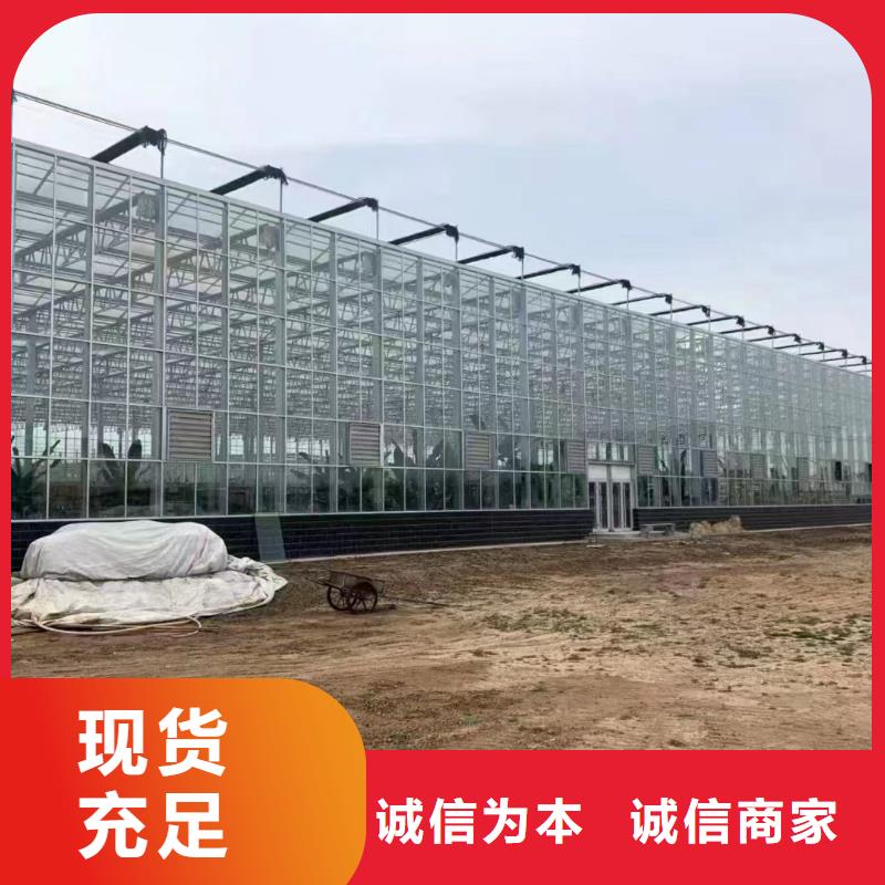 温室大棚光伏支架地桩专业生产N年
