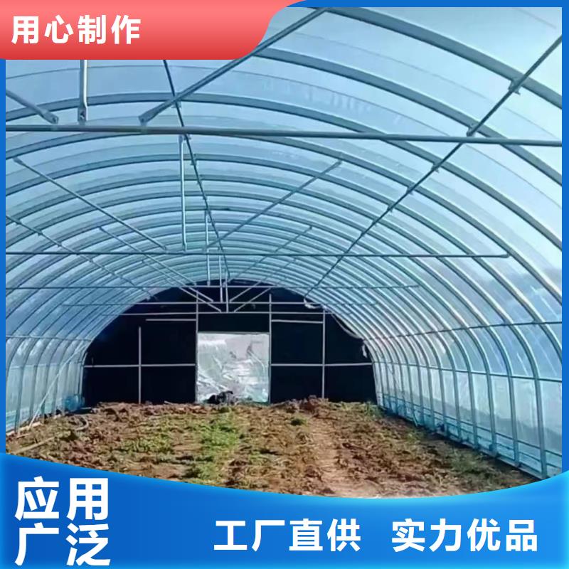 溫室大棚大棚管豐富的行業(yè)經(jīng)驗(yàn)