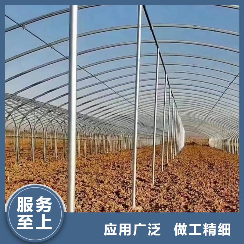 【溫室大棚養(yǎng)殖棚把實(shí)惠留給您】