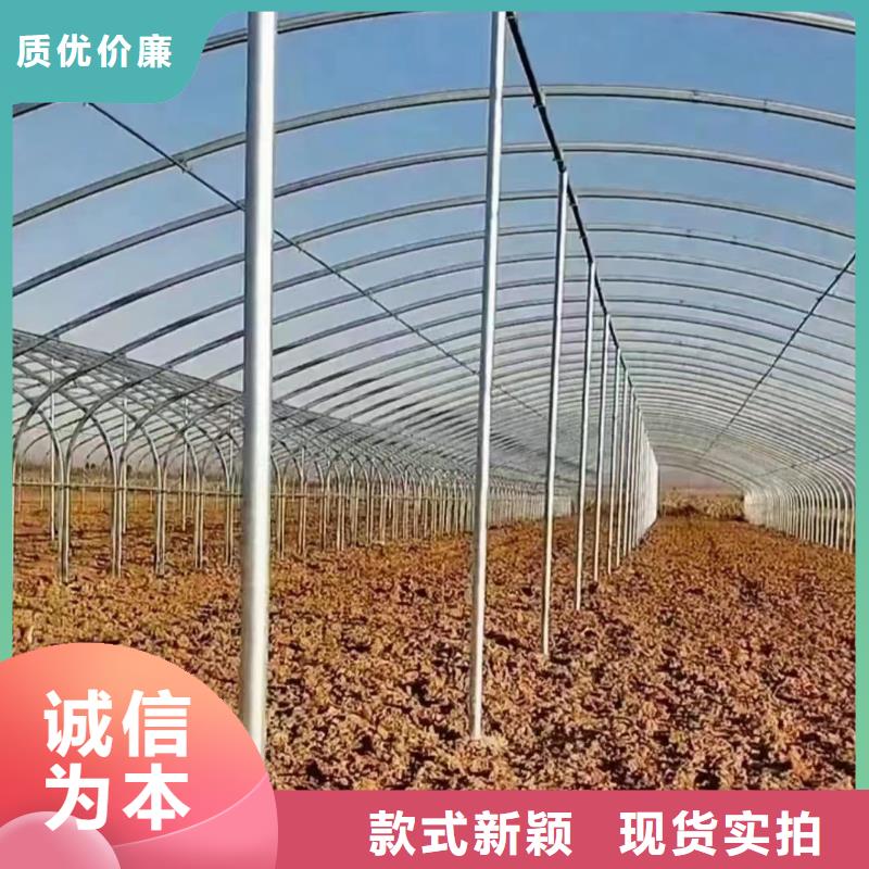 溫室大棚玻璃溫室制作加工嚴(yán)選材質(zhì)