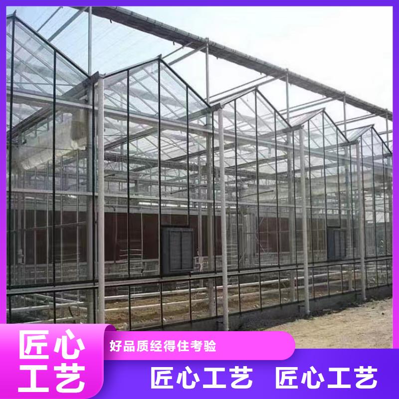 溫室大棚大棚管豐富的行業(yè)經(jīng)驗(yàn)