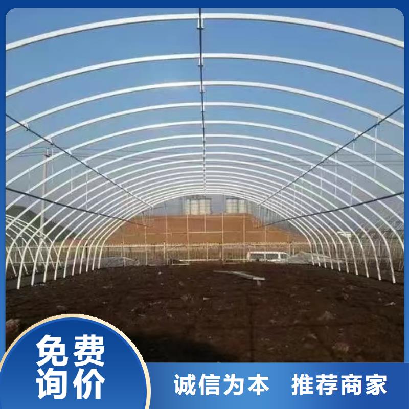 溫室大棚_方矩管廠家直營(yíng)