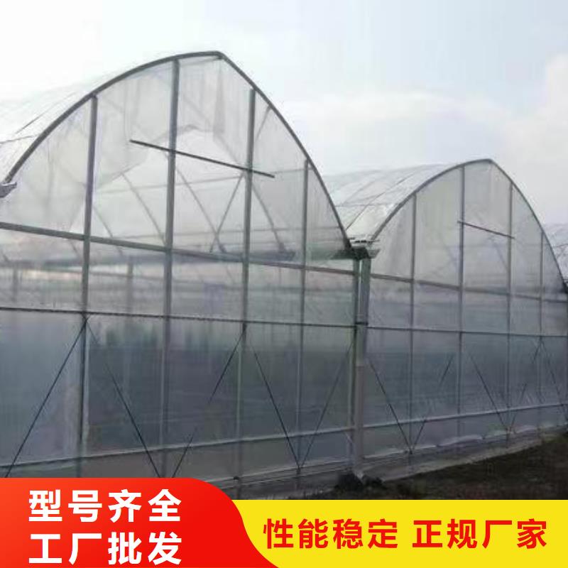 溫室大棚鋅鋁鎂光伏支架拒絕中間商