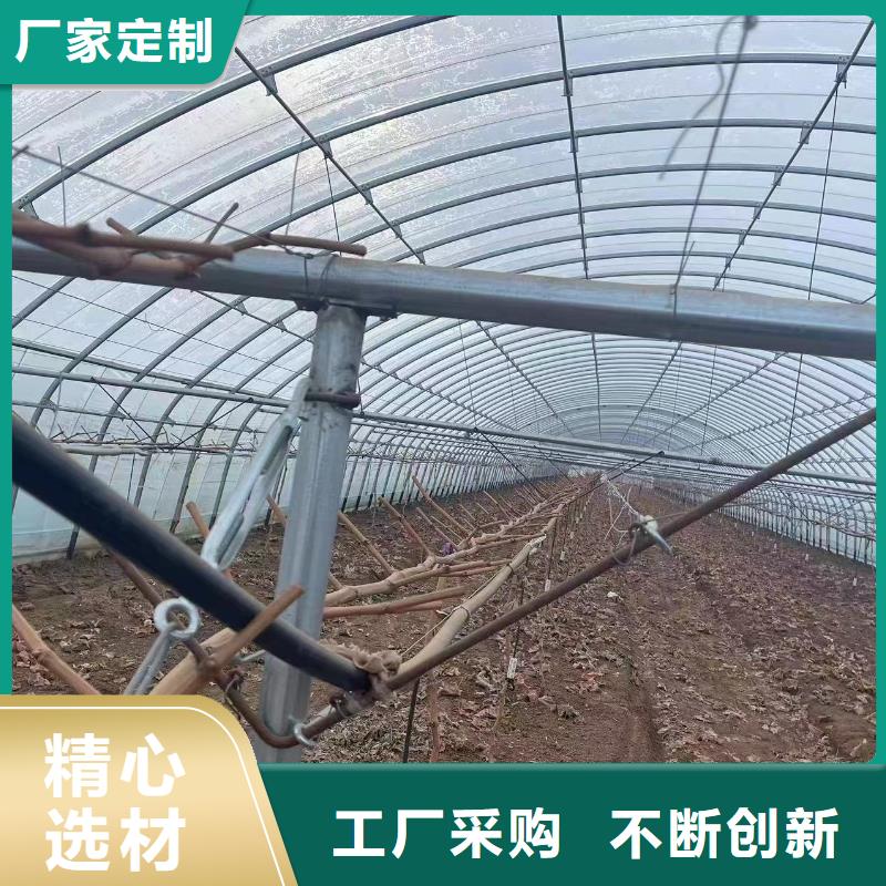 溫室大棚-大棚配件本地廠家值得信賴