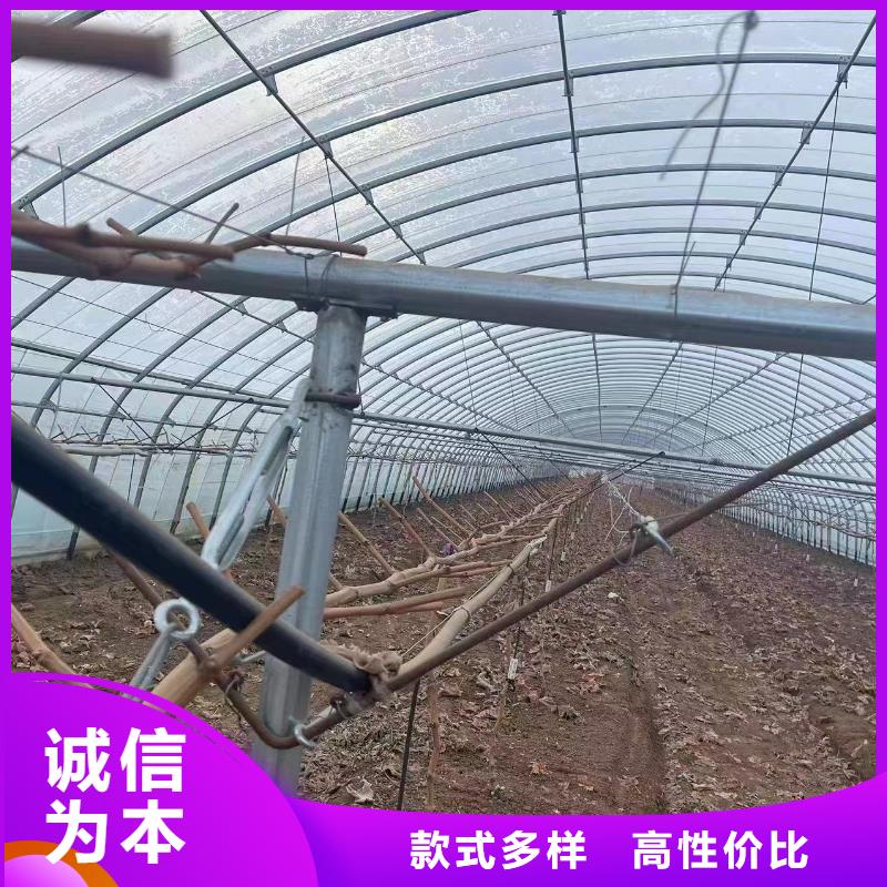 温室大棚光伏铝合金导轨定制销售售后为一体