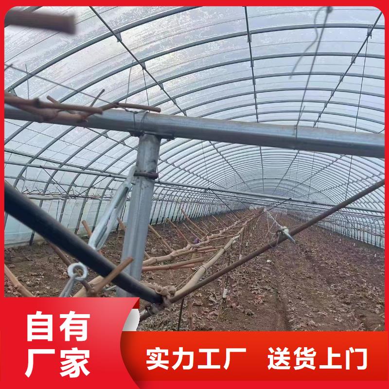 溫室大棚_方矩管廠家直營(yíng)
