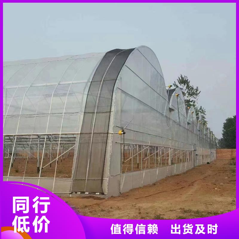 溫室大棚_方矩管廠家直營