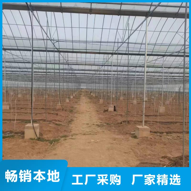 溫室大棚玻璃溫室制作加工嚴(yán)選材質(zhì)