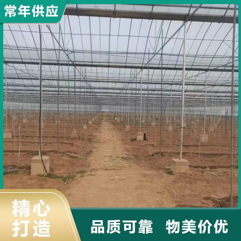 溫室大棚鋅鋁鎂光伏支架質(zhì)優(yōu)價廉