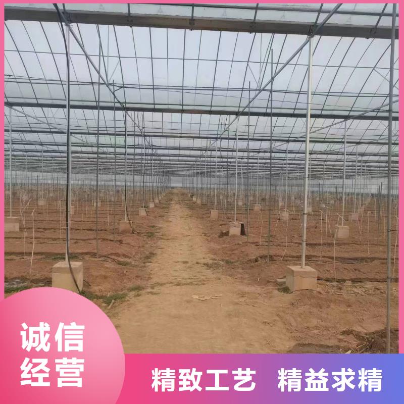 溫室大棚玻璃溫室制作加工嚴(yán)選材質(zhì)