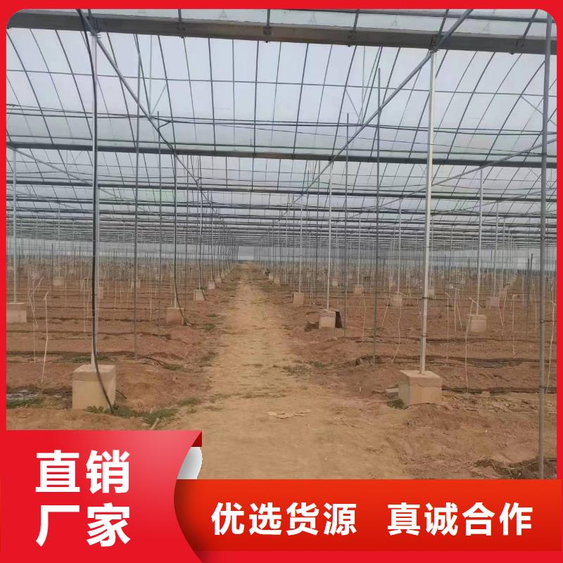 溫室大棚熱鍍鋅方矩管貨源穩(wěn)定