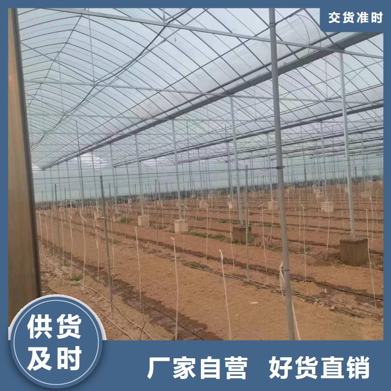 溫室大棚澆筑地樁信譽(yù)至上