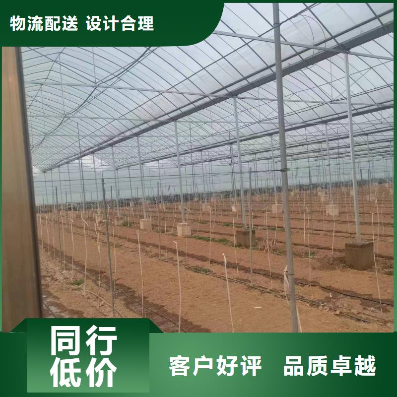 溫室大棚玻璃溫室制作加工嚴(yán)選材質(zhì)