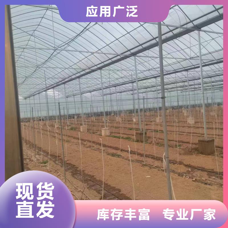 溫室大棚玻璃溫室制作加工嚴(yán)選材質(zhì)