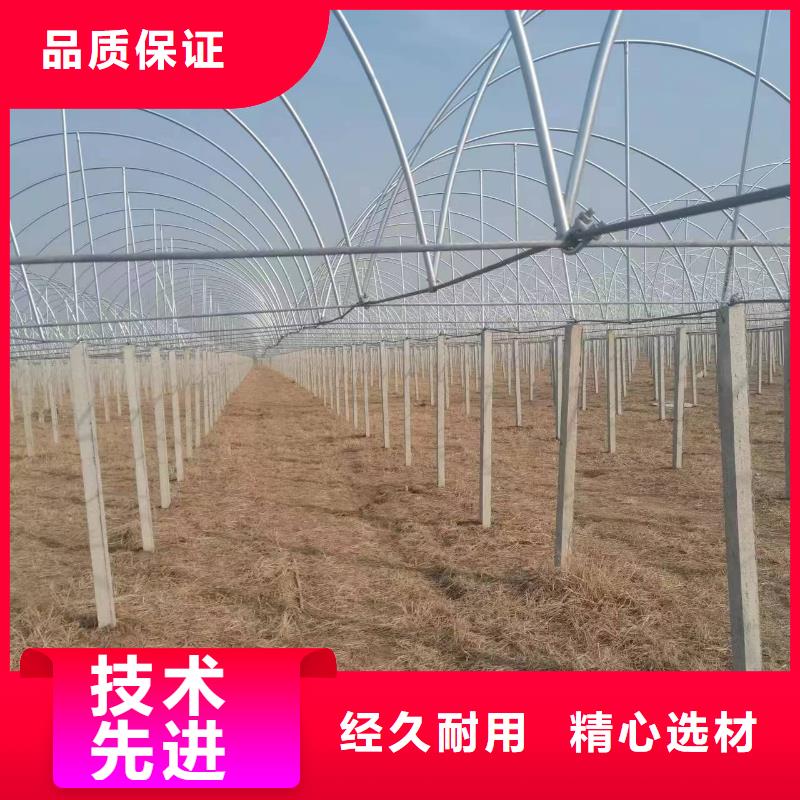 溫室大棚玻璃溫室制作加工嚴(yán)選材質(zhì)