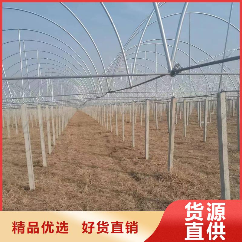 溫室大棚玻璃溫室制作加工嚴(yán)選材質(zhì)