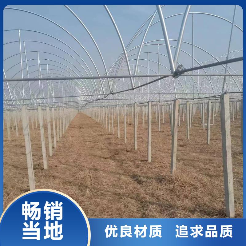 溫室大棚澆筑地樁信譽(yù)至上