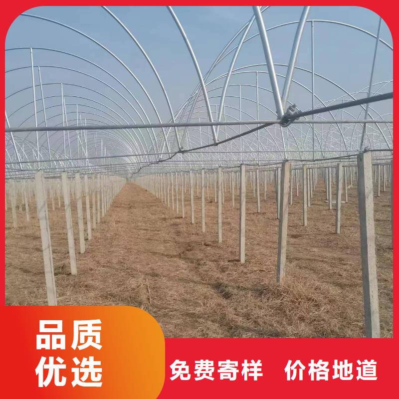 溫室大棚玻璃溫室制作加工嚴(yán)選材質(zhì)