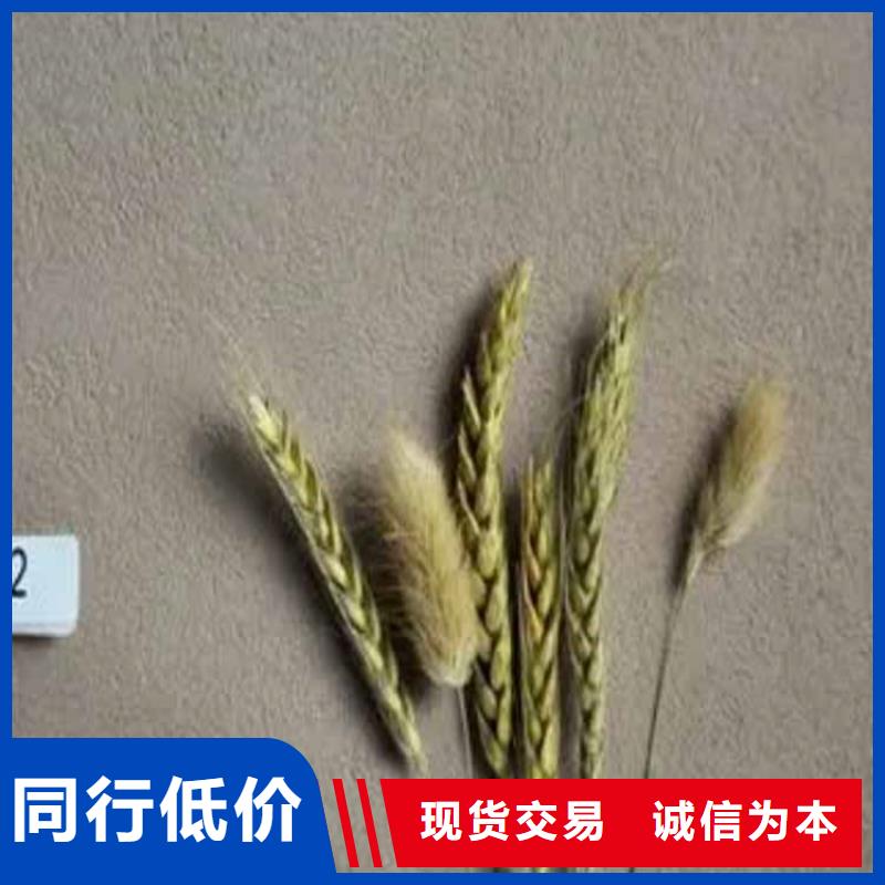 灰泥稻草泥廠家直銷廠家質(zhì)量過硬