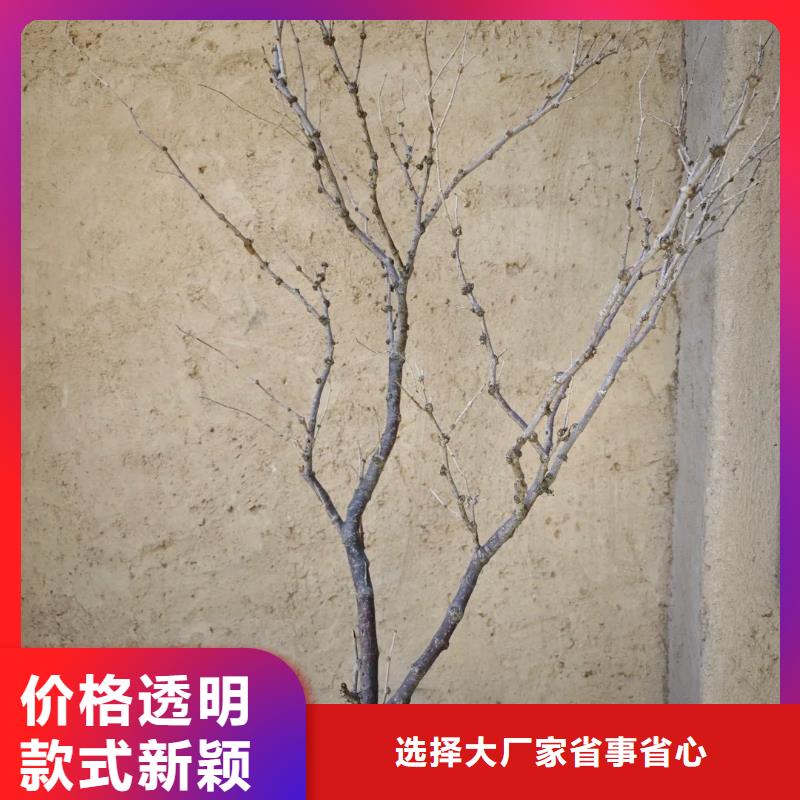 仿泥巴墻稻草漆源頭廠家，批發(fā)價(jià)，可施工