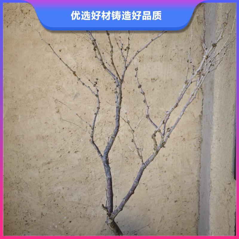 仿夯土涂料源頭工廠，質量保證