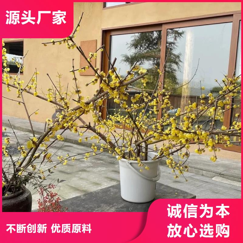 仿夯土稻草泥源头工厂，质量保证