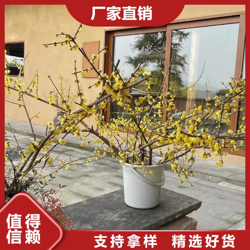 仿夯土稻草泥源頭廠家，拿貨批發(fā)價
