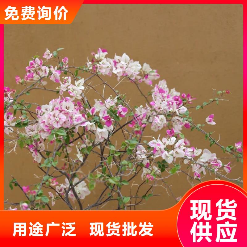 仿夯土涂料源头工厂，批发价，可施工