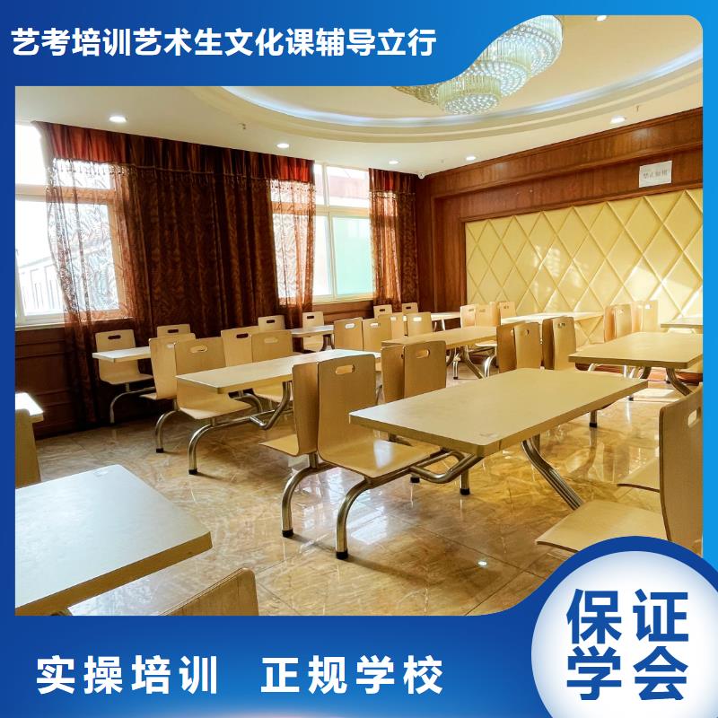 山东艺考文化课高考数学辅导理论+实操