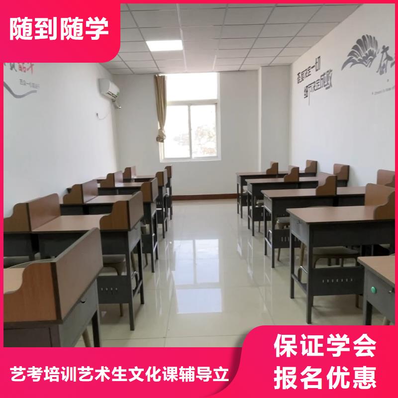 山东艺考文化课高考数学辅导理论+实操