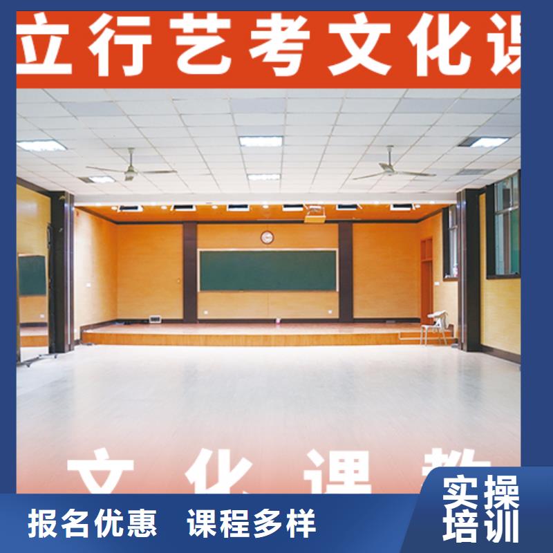 艺考文化课辅导高考冲刺补习理论+实操