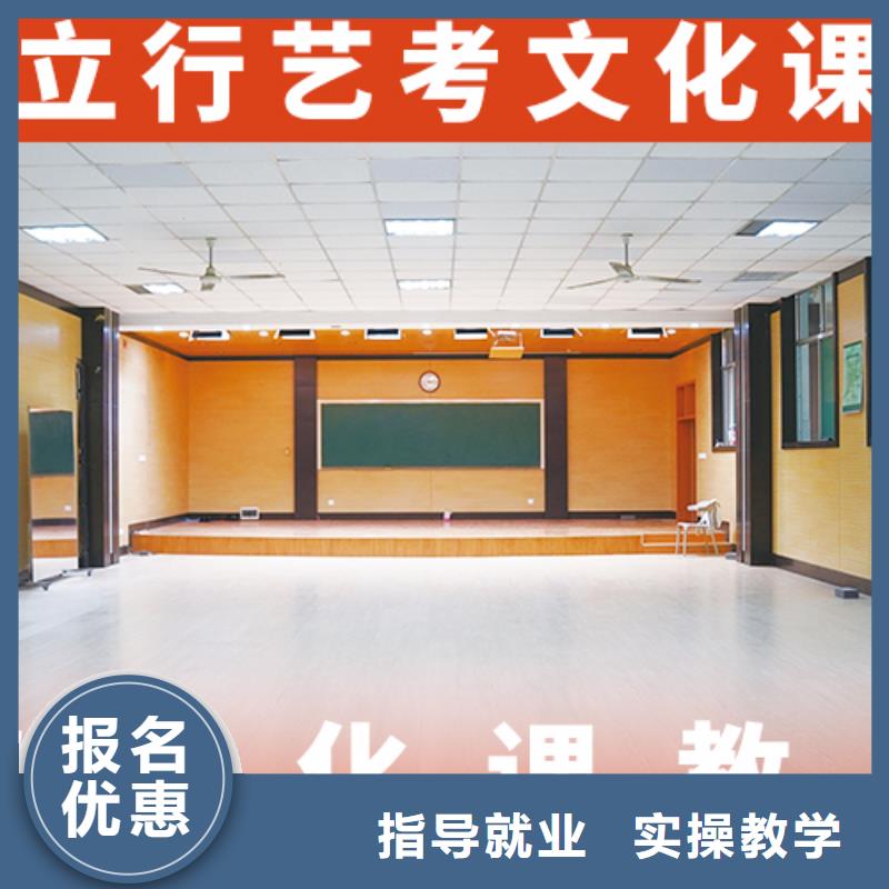 藝考文化課輔導(dǎo)【舞蹈藝考培訓(xùn)】實(shí)操教學(xué)