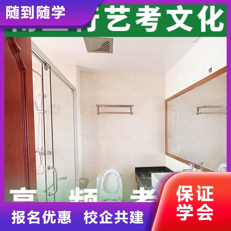 艺考文化课补习【高考小班教学】师资力量强