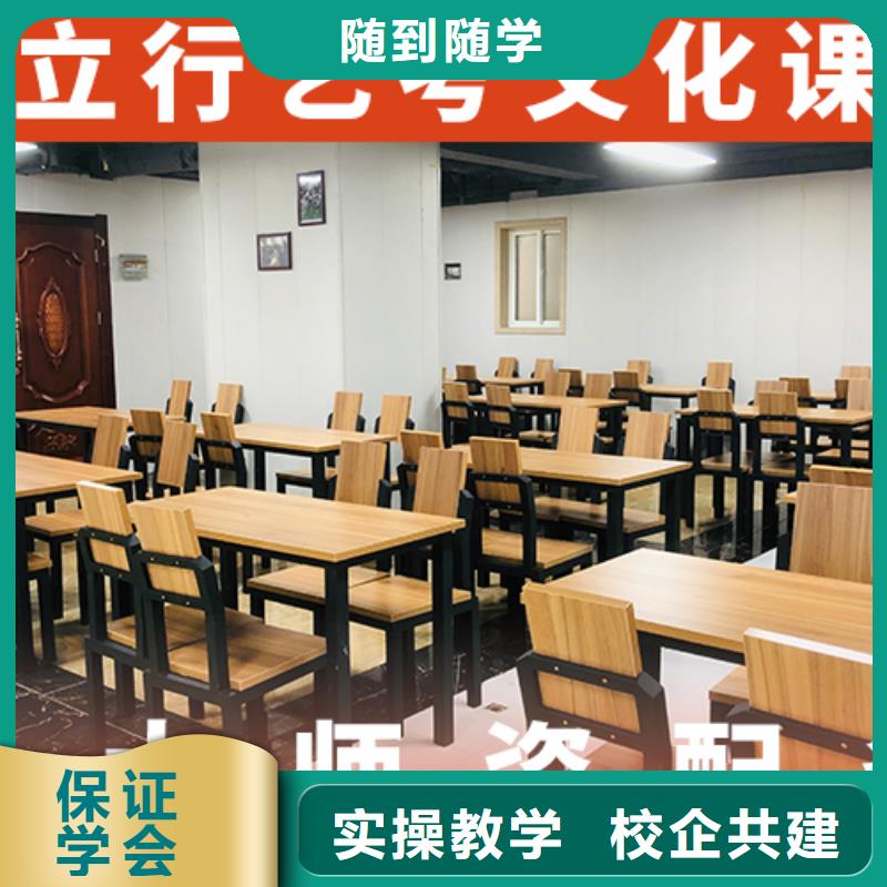 藝考生文化課舞蹈藝考培訓(xùn)指導(dǎo)就業(yè)