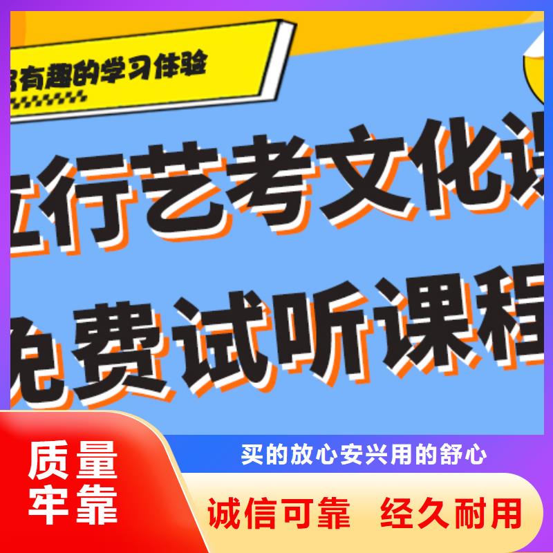 艺考文化课【艺考培训班】理论+实操