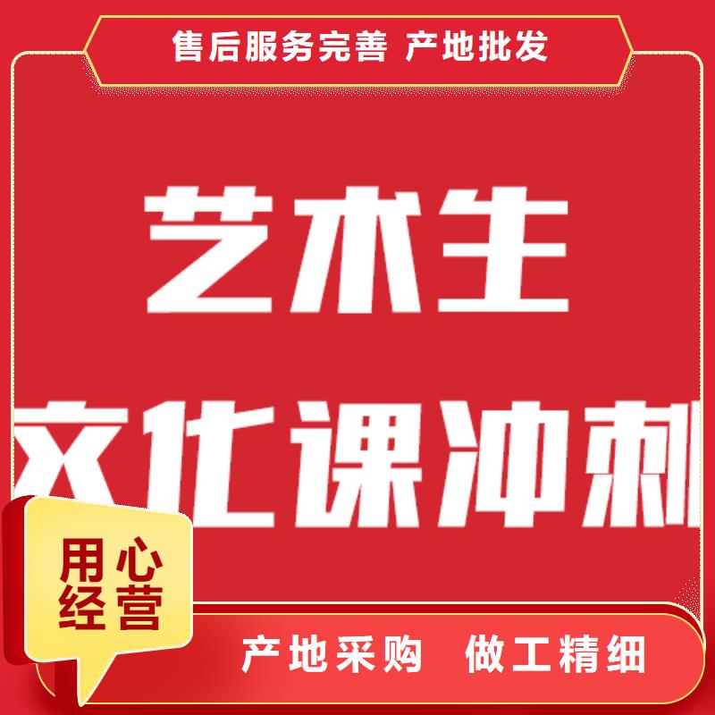 藝考文化課-藝術(shù)學(xué)校正規(guī)培訓(xùn)