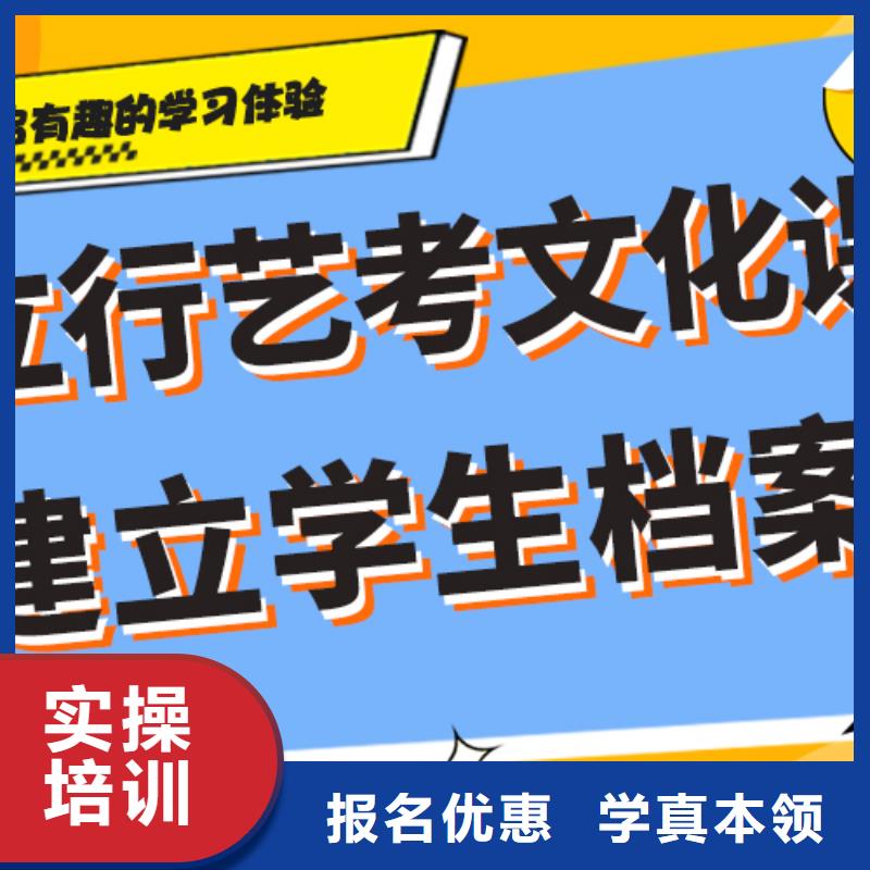 艺考生文化课艺术生文化补习课程多样