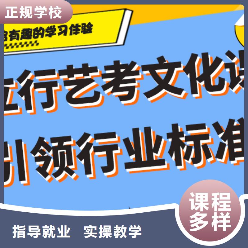 艺考生文化课艺考辅导正规学校