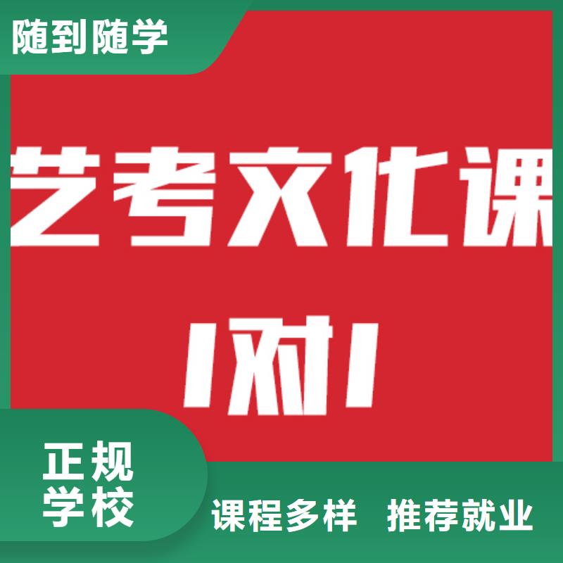 艺考生文化课【艺考培训机构】课程多样