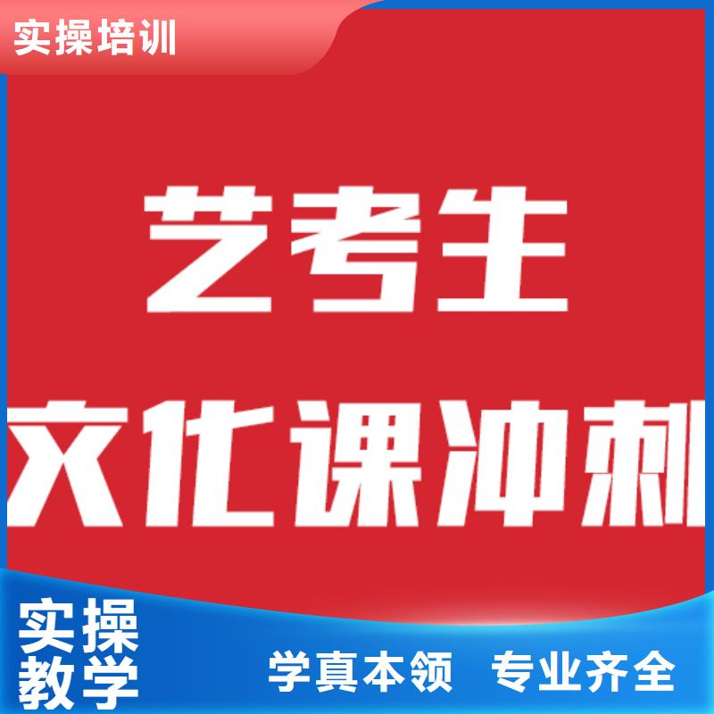 艺考生文化课艺术生文化补习课程多样