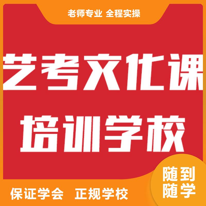 艺考生文化课艺术生文化补习课程多样