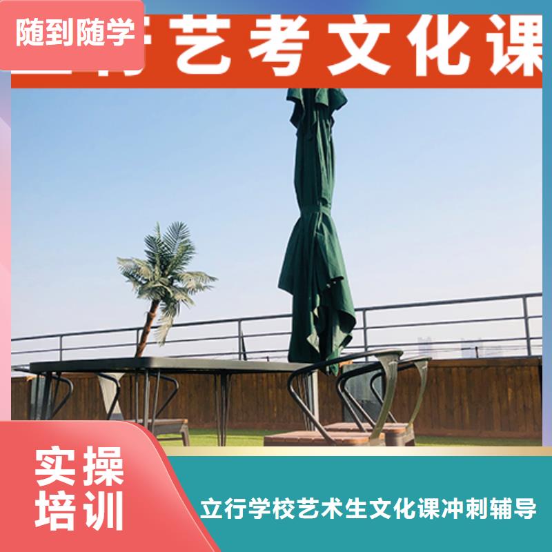 艺考生文化课艺术生文化补习课程多样