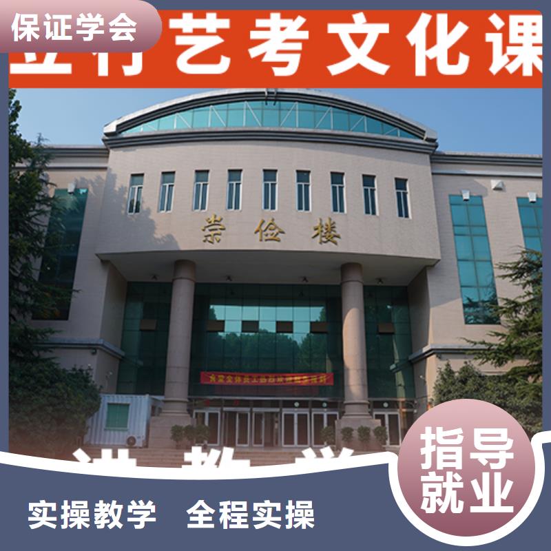 艺考生文化课艺术生文化补习课程多样