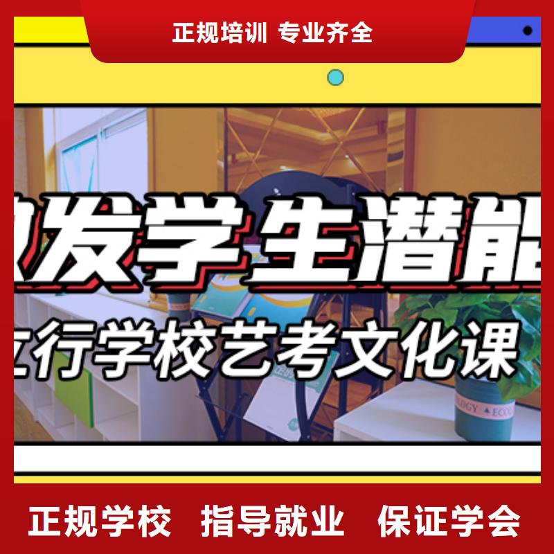 艺考生文化课艺术生文化补习课程多样