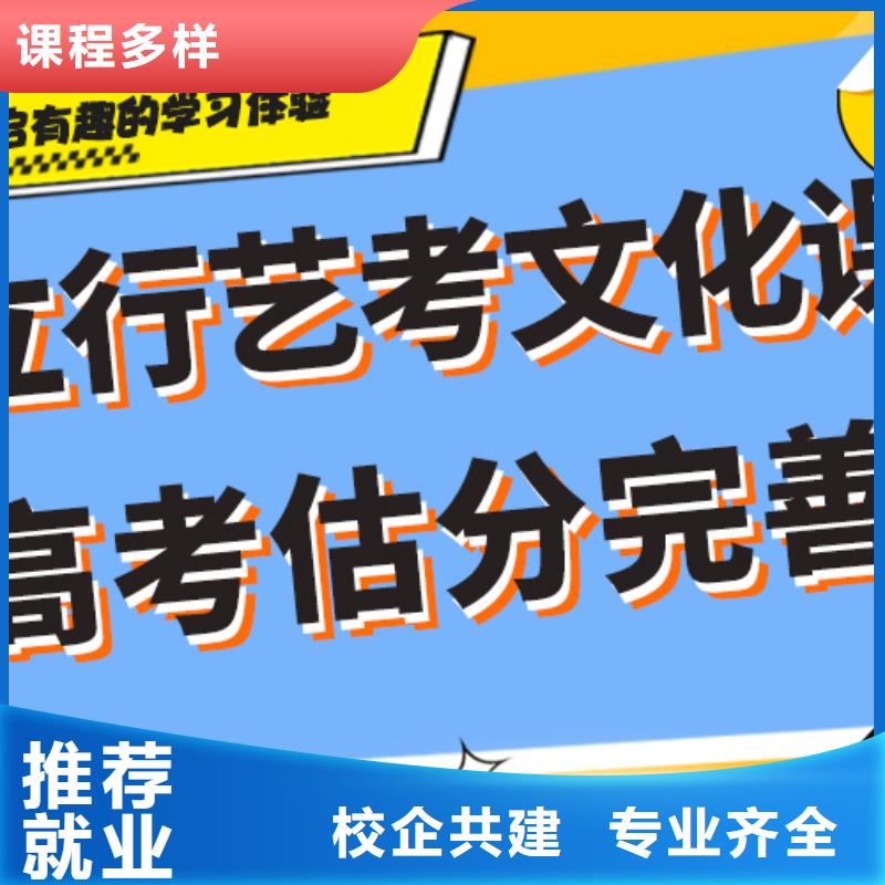 藝考文化課補(bǔ)習(xí)高中一對(duì)一輔導(dǎo)老師專(zhuān)業(yè)